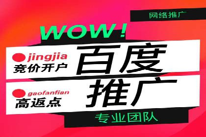 百度搜索推广案例精选：实战经验分享